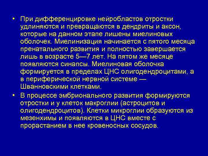  • При дифференцировке нейробластов отростки удлиняются и превращаются в дендриты и аксон, которые
