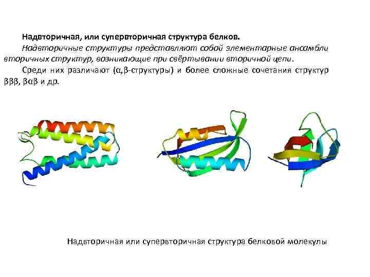 Рассмотрите схему участка первичной структуры молекулы белка