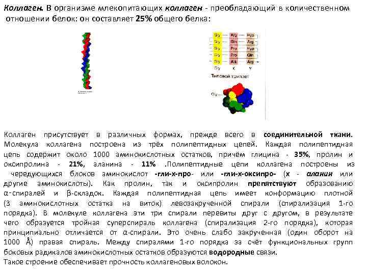 Коллаген. В организме млекопитающих коллаген - преобладающий в количественном отношении белок: он составляет 25%