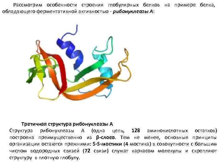 Презентация структура белков