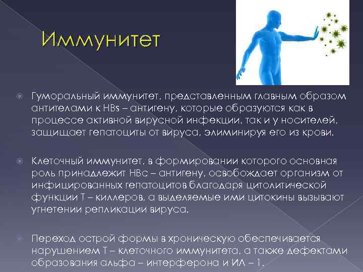 Иммунитет Гуморальный иммунитет, представленным главным образом антителами к HBs – антигену, которые образуются как