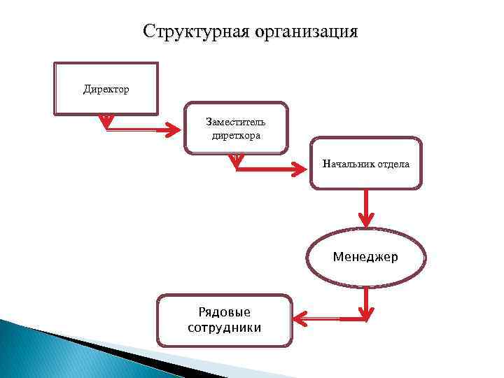 Структурная организация Директор Заместитель диреткора Начальник отдела Менеджер Рядовые сотрудники 