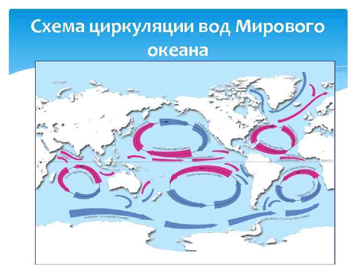 Холодные течения евразии. Циркуляция вод в мировом океане течения. Схема течений мирового океана. Карта течений мирового океана. Глобальная циркуляция вод мирового океана.