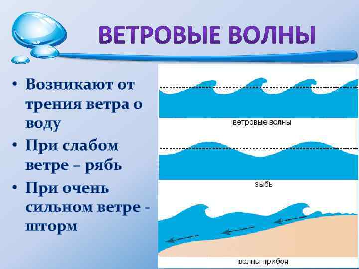  • Возникают от трения ветра о воду • При слабом ветре – рябь