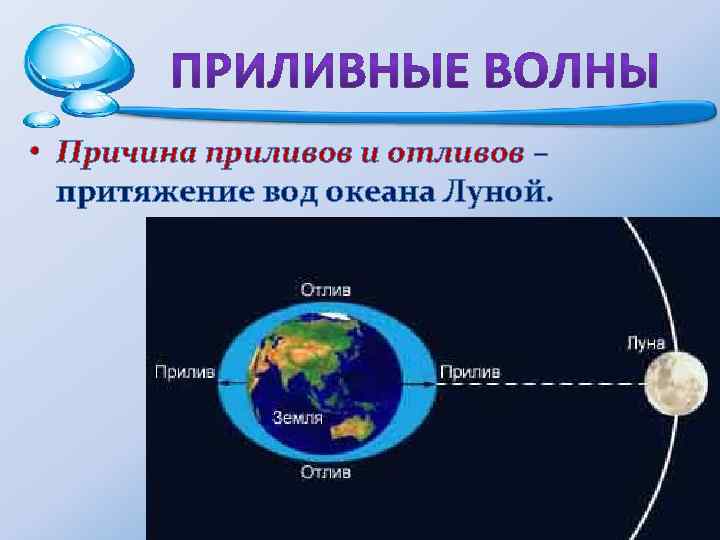  • Причина приливов и отливов – притяжение вод океана Луной. 