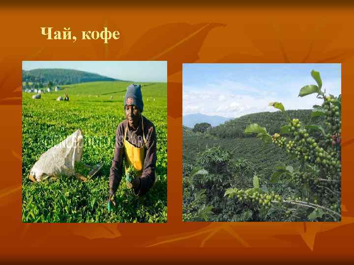 Чай, кофе 