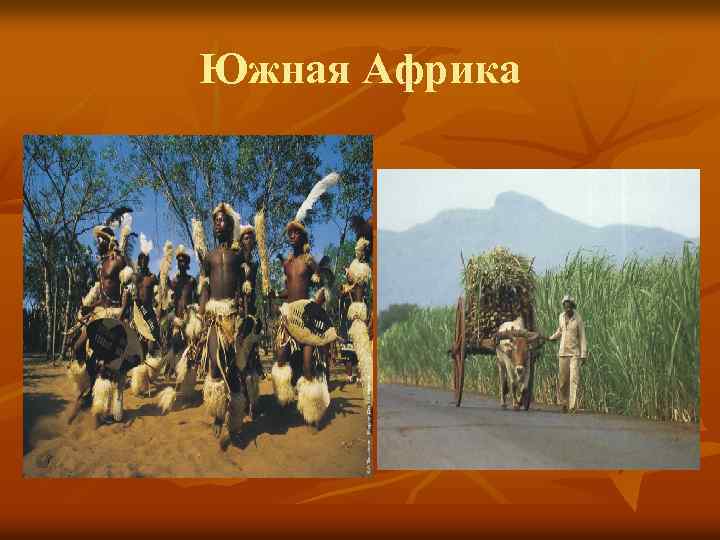 Южная Африка 