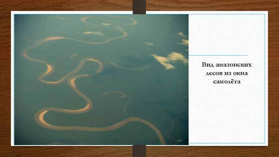 Вид амазонских лесов из окна самолёта 