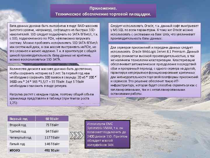 Приложение. Техническое обеспечение торговой площадки. База данных должна быть выполнена в виде RAID-массива (шестого