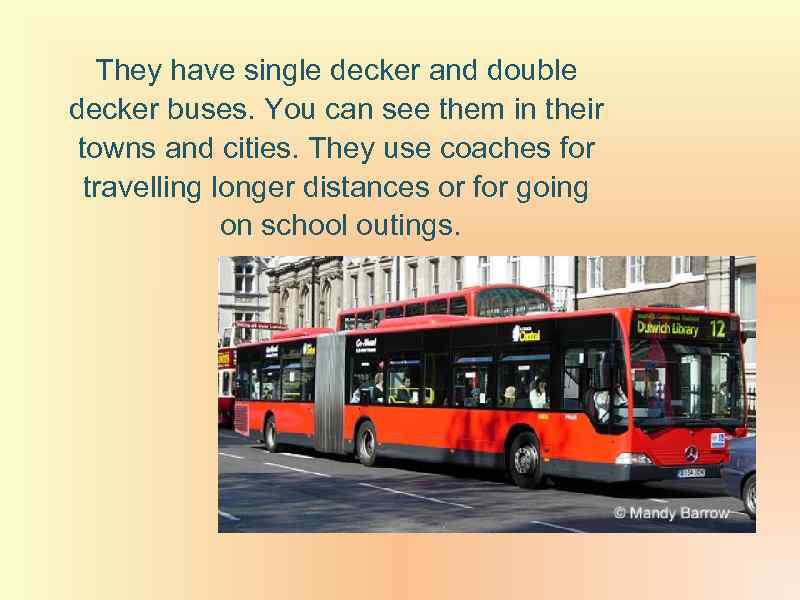 They have single decker and double decker buses. You can see them in their