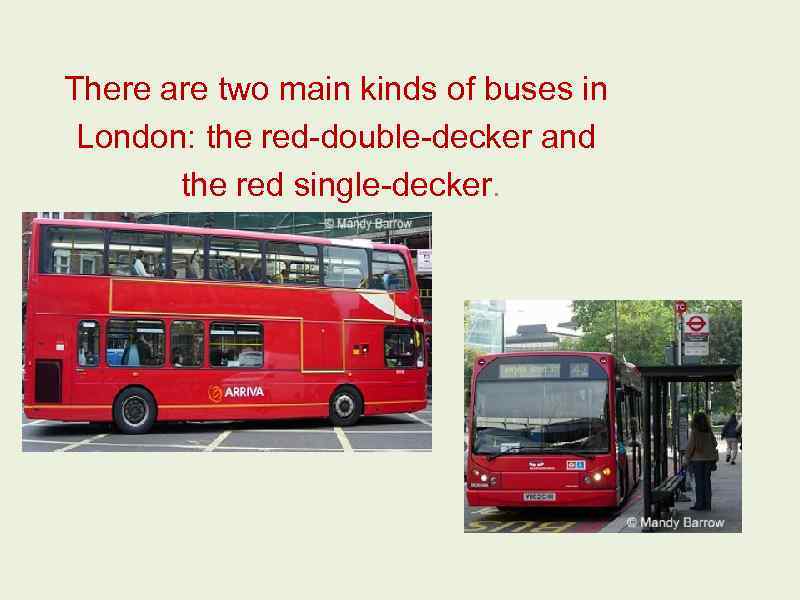 There are two main kinds of buses in London: the red-double-decker and the red