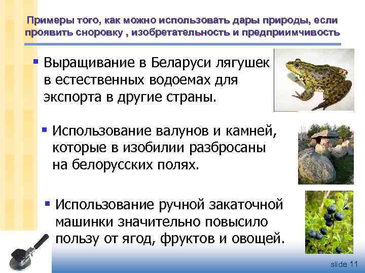 Примеры того, как можно использовать дары природы, если проявить сноровку , изобретательность и предприимчивость