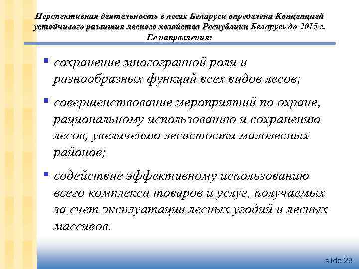 Перспективная деятельность в лесах Беларуси определена Концепцией устойчивого развития лесного хозяйства Республики Беларусь до