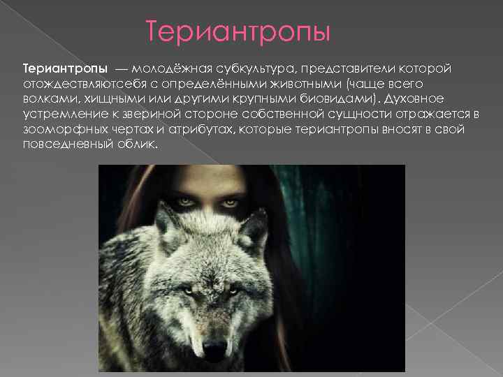 Териантропы — молодёжная субкультура, представители которой отождествляютсебя с определёнными животными (чаще всего волками, хищными