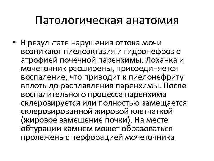 Патологическая анатомия лекции. Гидронефроз патанатомия. Гидронефроз патологическая анатомия. Гидронефроз ПАТ анатомтя. Гидронефроз почки патанатомия.