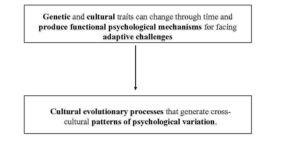 Genetic and cultural traits can change through time and produce functional psychological mechanisms for