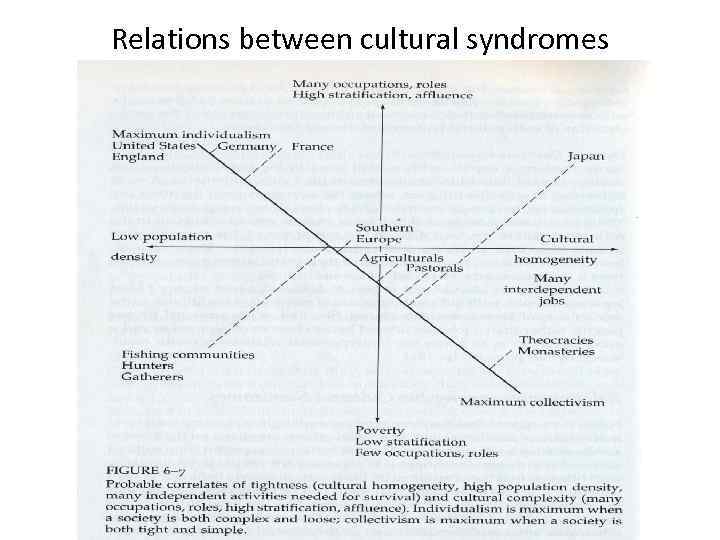 Relations between cultural syndromes 