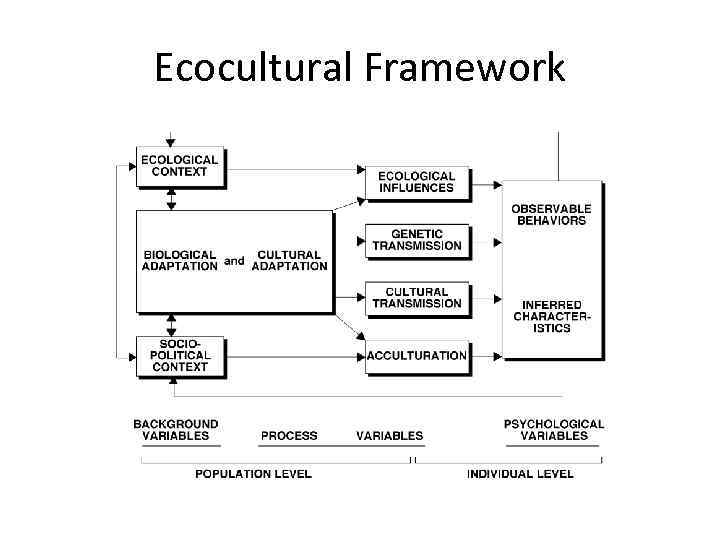 Ecocultural Framework 