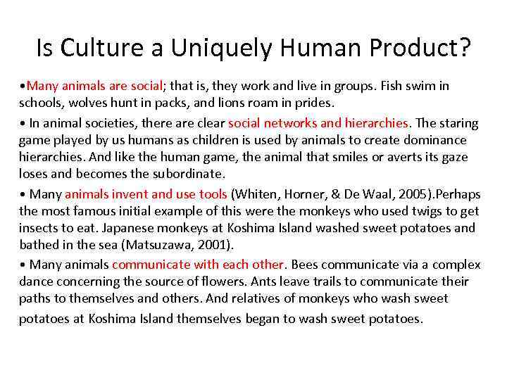Is Culture a Uniquely Human Product? • Many animals are social; that is, they