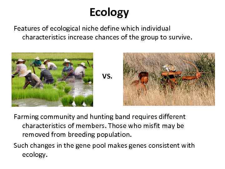 Ecology Features of ecological niche define which individual characteristics increase chances of the group