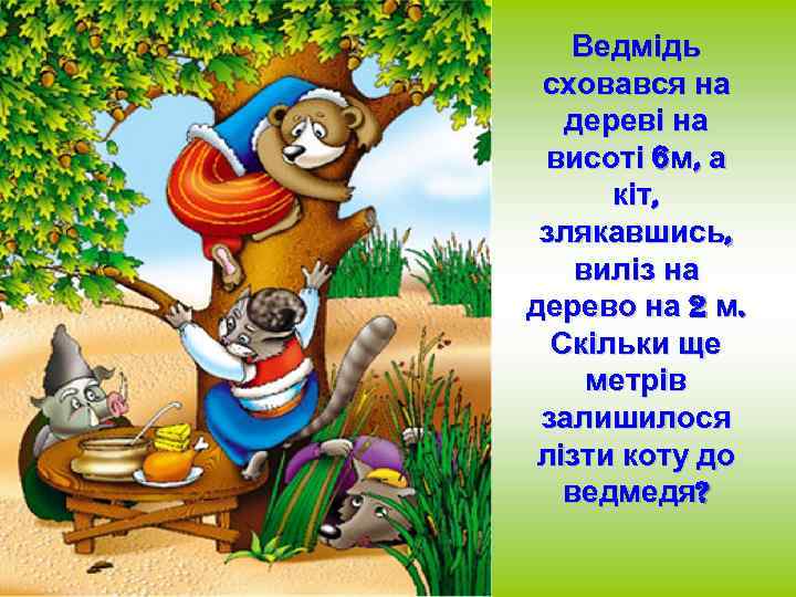 Ведмідь сховався на дереві на висоті 6 м, а кіт, злякавшись, виліз на дерево