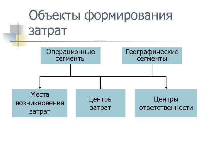 Объекты формирования затрат Операционные сегменты Места возникновения затрат Центры затрат Географические сегменты Центры ответственности