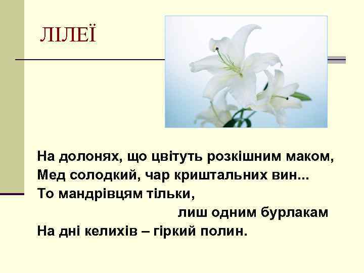 ЛІЛЕЇ На долонях, що цвітуть розкішним маком, Мед солодкий, чар криштальних вин. . .