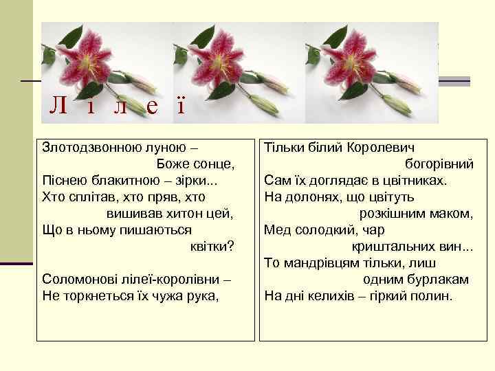 Л і л е ї Злотодзвонною луною – Боже сонце, Піснею блакитною – зірки.