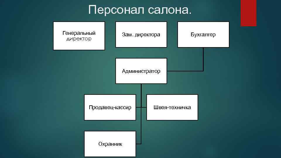 Персонал салона. Генеральный директор Зам. директора Администратор Продавец-кассир Охранник Швея-техничка Бухгалтер 