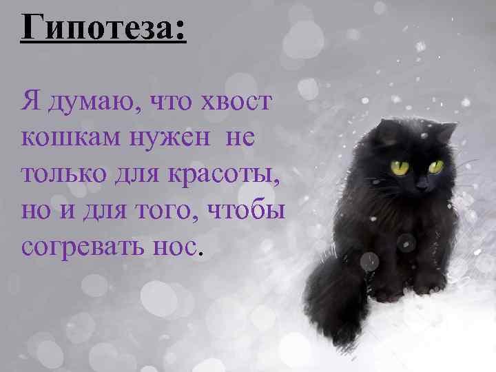 Гипотеза: Я думаю, что хвост кошкам нужен не только для красоты, но и для