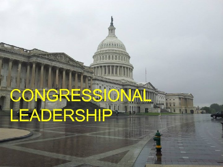 CONGRESSIONAL LEADERSHIP 