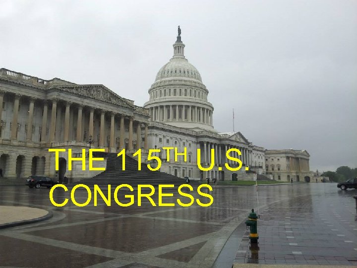 TH 115 THE U. S. CONGRESS 