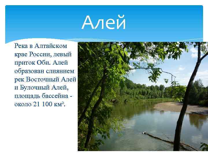Алей Река в Алтайском крае России, левый приток Оби. Алей образован слиянием рек Восточный