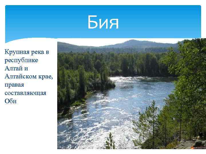 Бия Крупная река в республике Алтай и Алтайском крае, правая составляющая Оби 