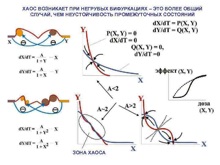 ХАОС ВОЗНИКАЕТ ПРИ НЕГРУБЫХ БИФУРКАЦИЯХ – ЭТО БОЛЕЕ ОБЩИЙ СЛУЧАЙ, ЧЕМ НЕУСТОЙЧИВОСТЬ ПРОМЕЖУТОЧНЫХ СОСТОЯНИЙ