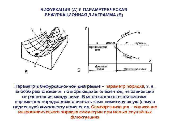 Как построить бифуркационную диаграмму