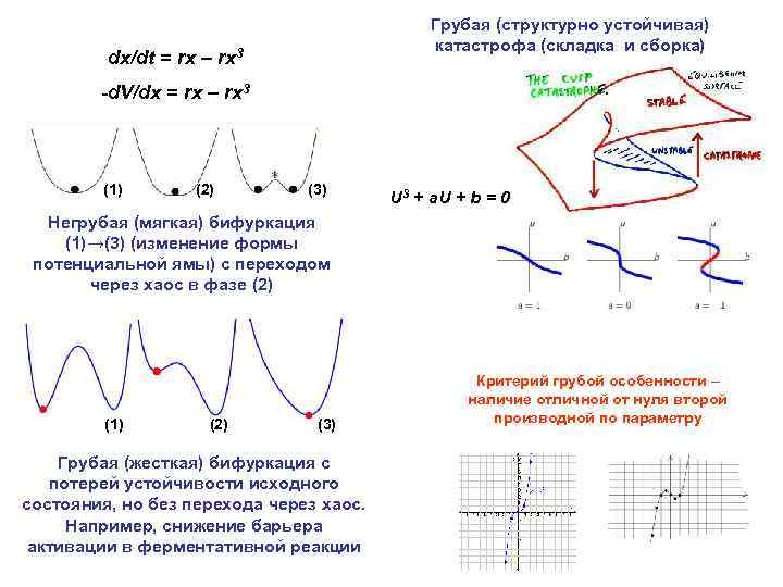 Грубая (структурно устойчивая) катастрофа (складка и сборка) dx/dt = rx – rx 3 -d.