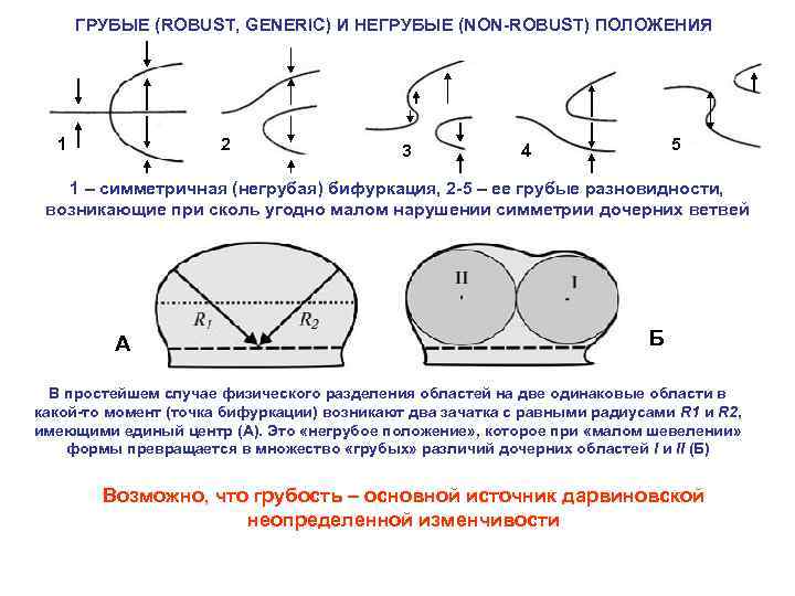 ГРУБЫЕ (ROBUST, GENERIC) И НЕГРУБЫЕ (NON-ROBUST) ПОЛОЖЕНИЯ 1 2 3 5 4 1 –