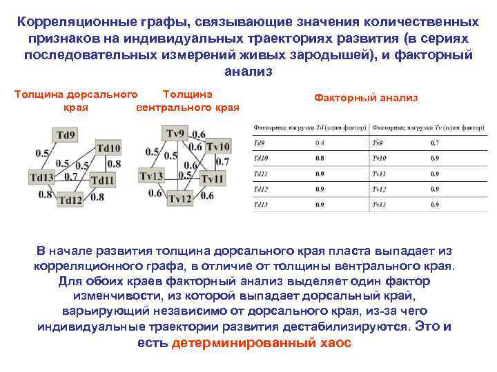 Корреляционные графы, связывающие значения количественных признаков на индивидуальных траекториях развития (в сериях последовательных измерений