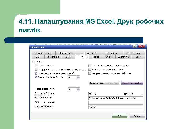 4. 11. Налаштування MS Excel. Друк робочих листів. 