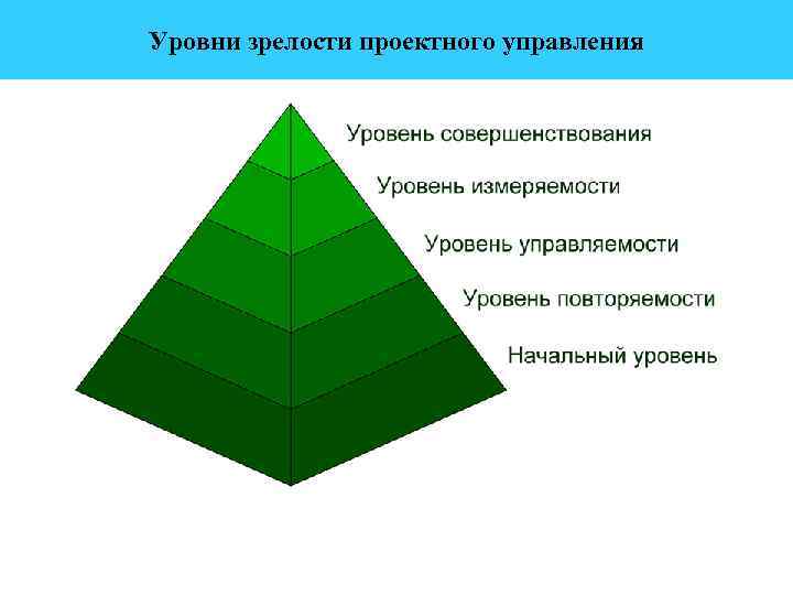 Зрелость системы управления проектами можно определить по