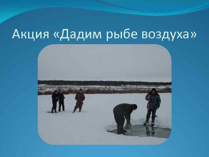 Акция «Дадим рыбе воздуха» 