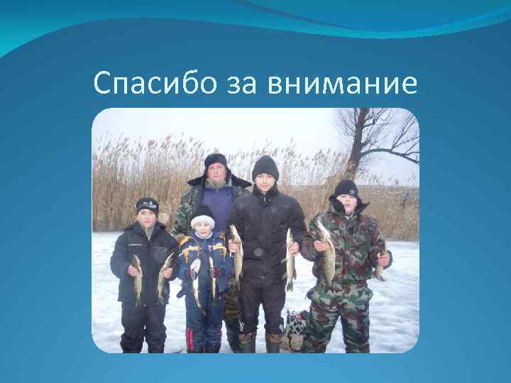 Спасибо за внимание 