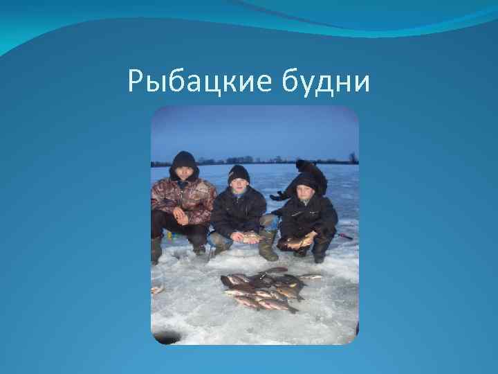 Рыбацкие будни 