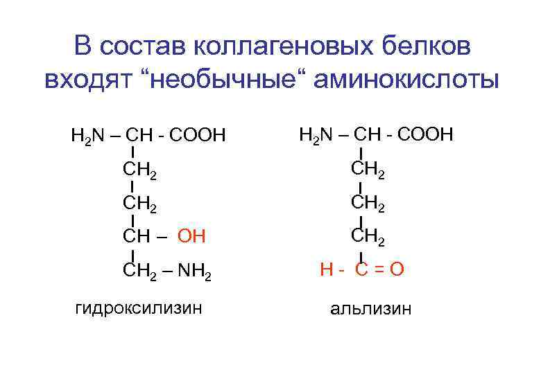 В состав коллагеновых белков входят “необычные“ аминокислоты Н 2 N – CH - COOH