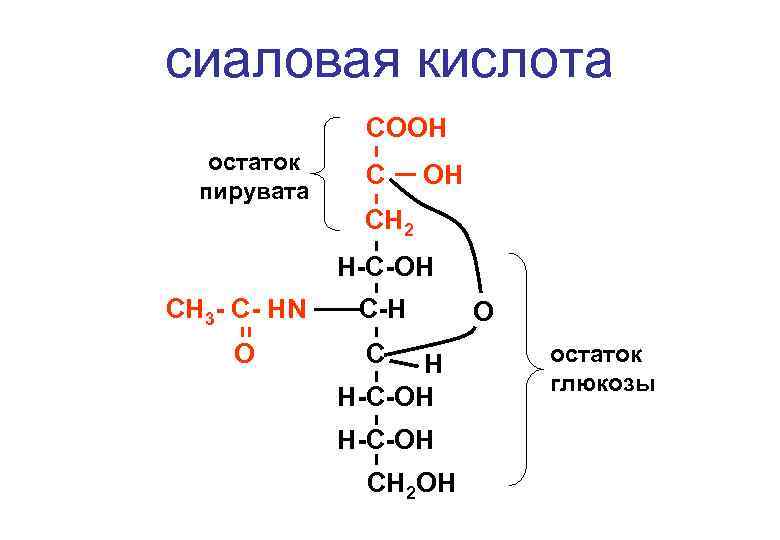 сиаловая кислота СООН остаток пирувата С ОН СН 2 Н-С-ОН СН 3 - С-