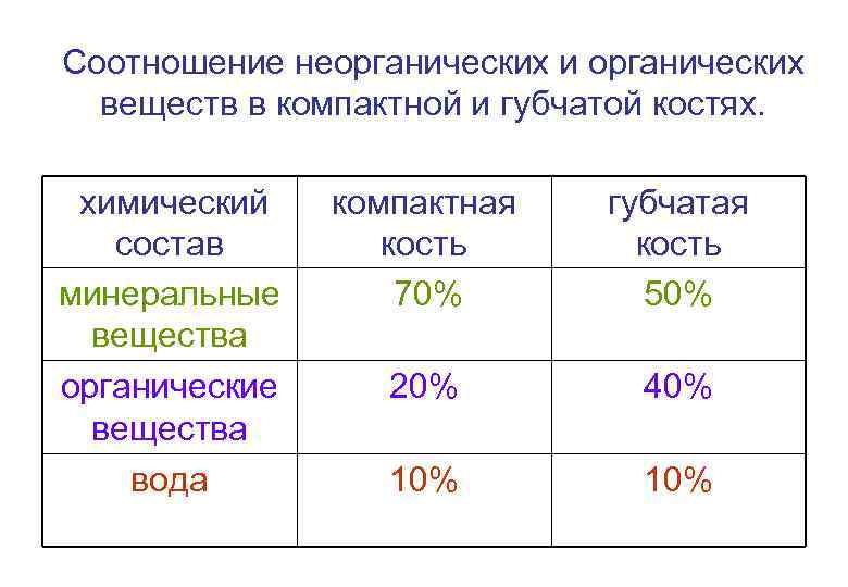 Соотношение неорганических и органических веществ в компактной и губчатой костях. химический состав минеральные вещества