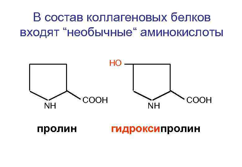 В состав коллагеновых белков входят “необычные“ аминокислоты НО NH пролин СООН NH СООН гидроксипролин