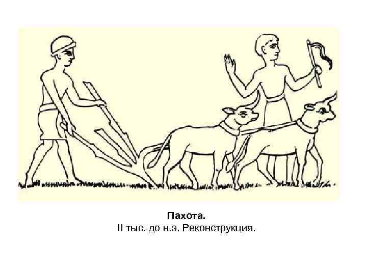 Пахота. II тыс. до н. э. Реконструкция. 