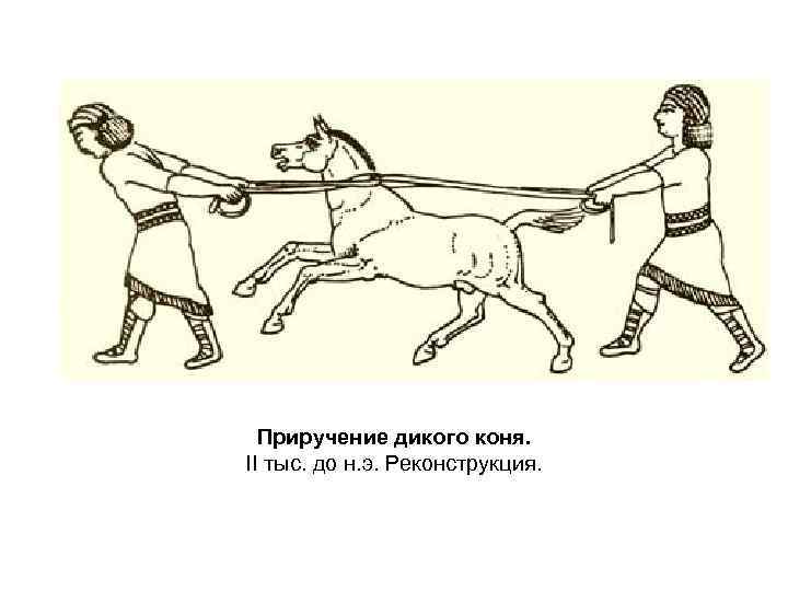 Приручение дикого коня. II тыс. до н. э. Реконструкция. 